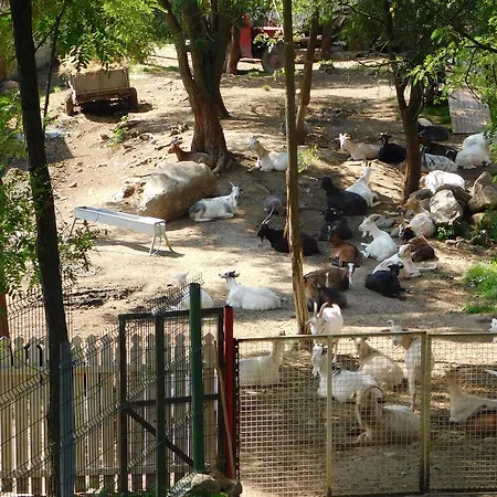 Ferma De Sub Penteleu