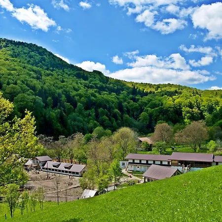 Ferma De Sub Penteleu * Varlaam (Buzau)