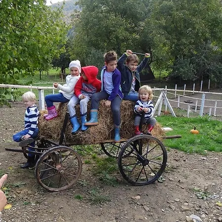 Pensiune agroturistice Ferma De Sub Penteleu *