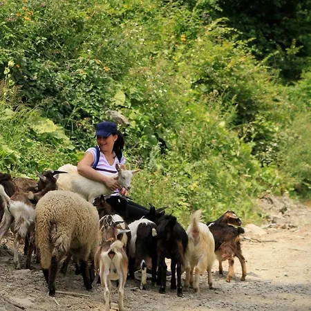 Pensiune agroturistice Ferma De Sub Penteleu *