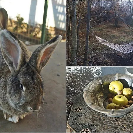 Pensiune agroturistice Ferma De Sub Penteleu Varlaam (Buzau)