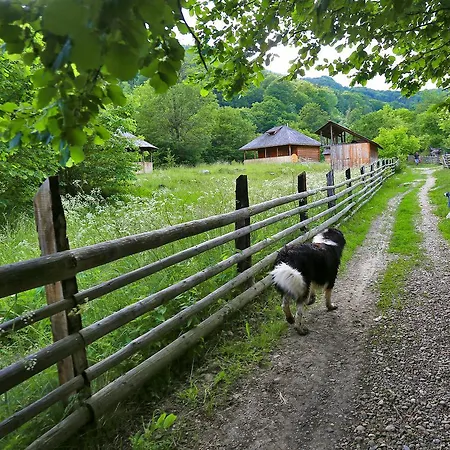 Pensiune agroturistice Ferma De Sub Penteleu *